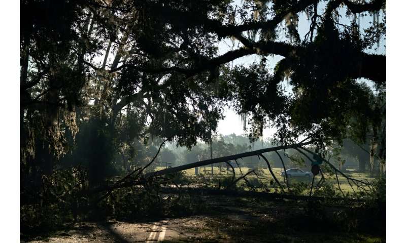 A motorist passes a downed tree in the aftermath of Hurricane Idalia on August 31, 2023 in Perry, Florida