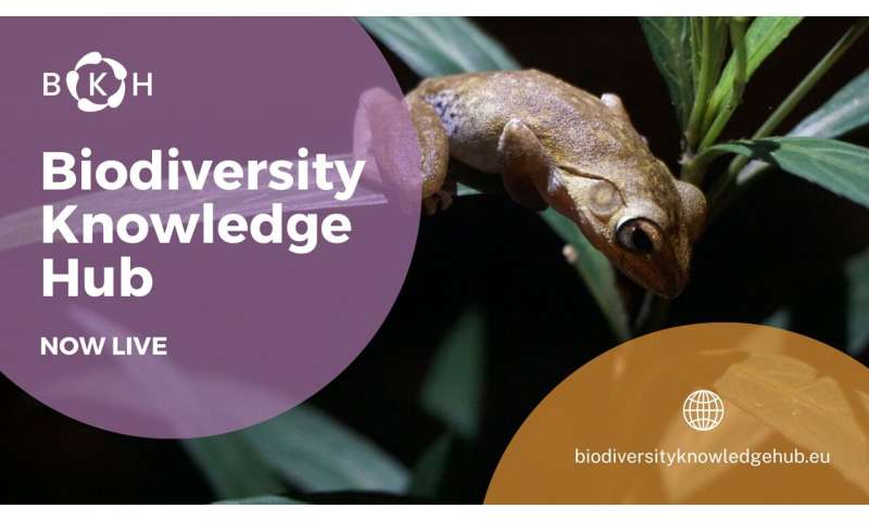 A new way to browse interlinked biodiversity data: The Biodiversity Knowledge Hub is now online!
