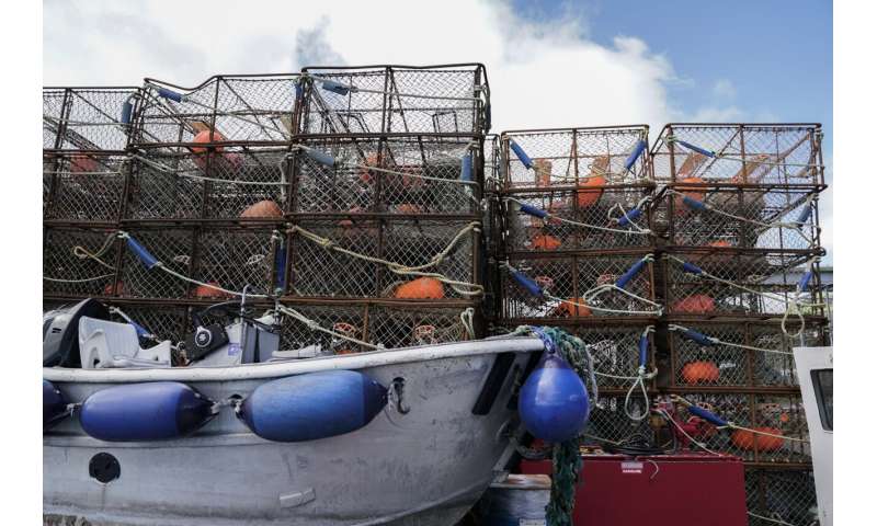 Alaskan fishers fear another bleak season as crab populations dwindle in warming waters