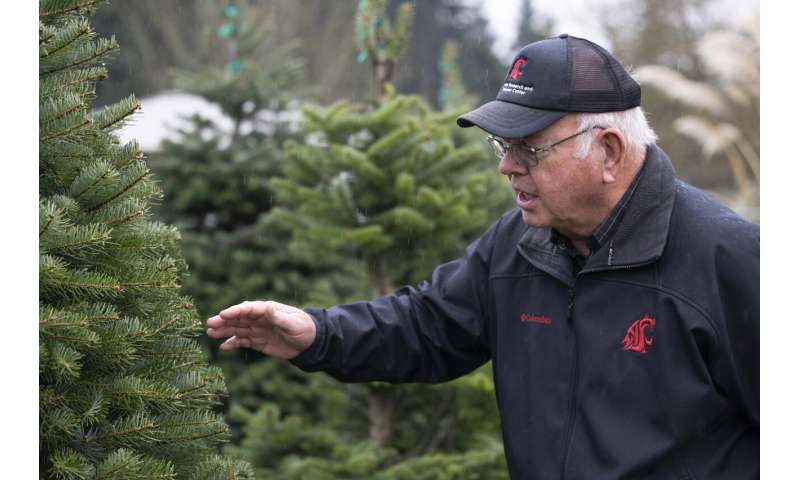 As climate warms, that perfect Christmas tree may depend on growers' ability to adapt