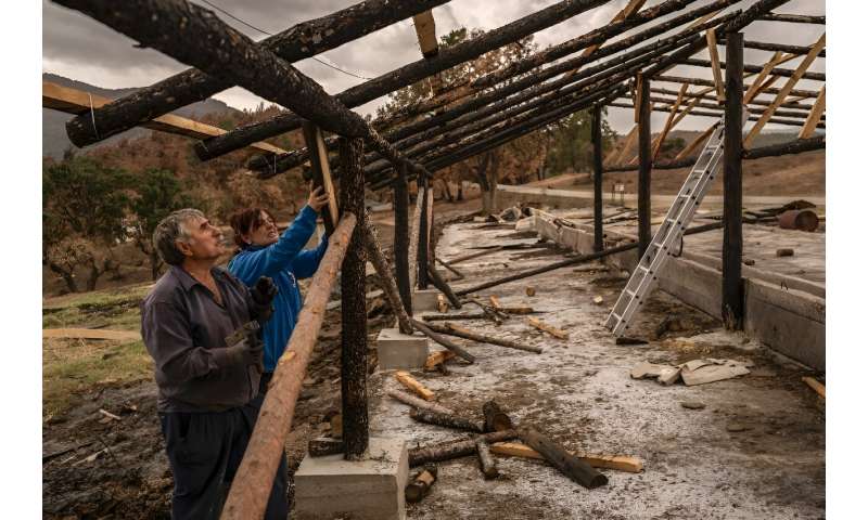 Athanassia Pistola helps her husband nail the roof of a temporary pen for their farm animals that survived