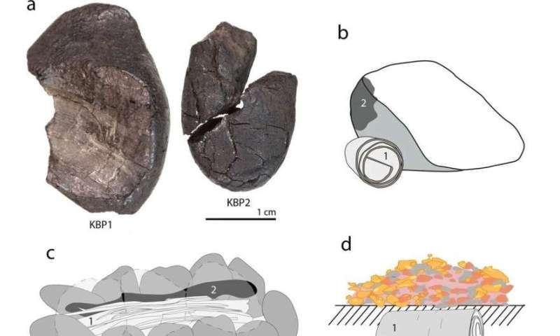 Best of Last Week – Neanderthals distilling birch tar, detecting bots posing as humans, slower intelligent brains