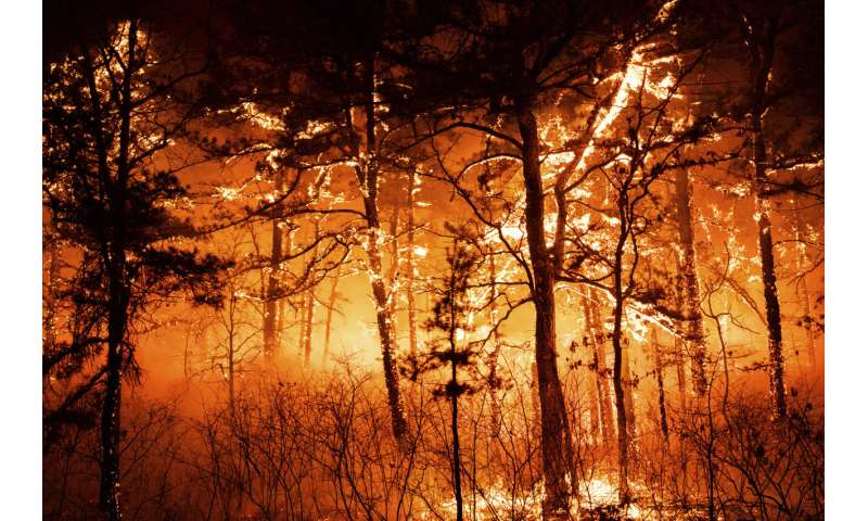 Big flames, raining embers in New Jersey Pine Barrens fire