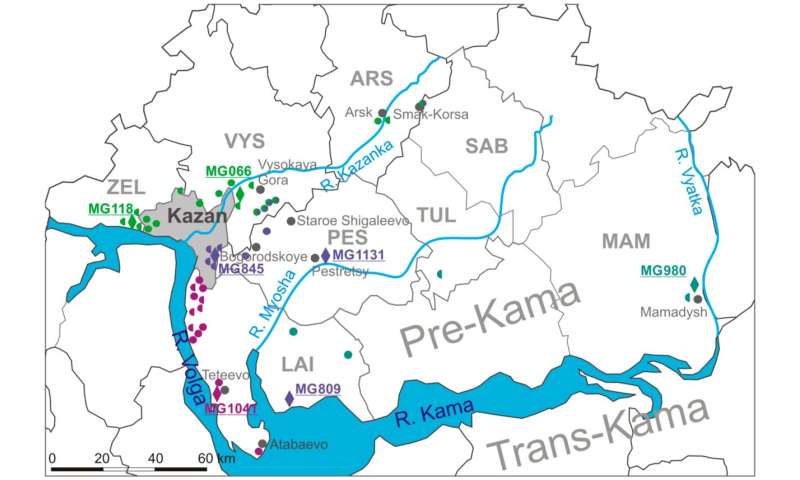 Biologists study geographical origins of hemorrhagic fever with renal syndrome in Tatarstan