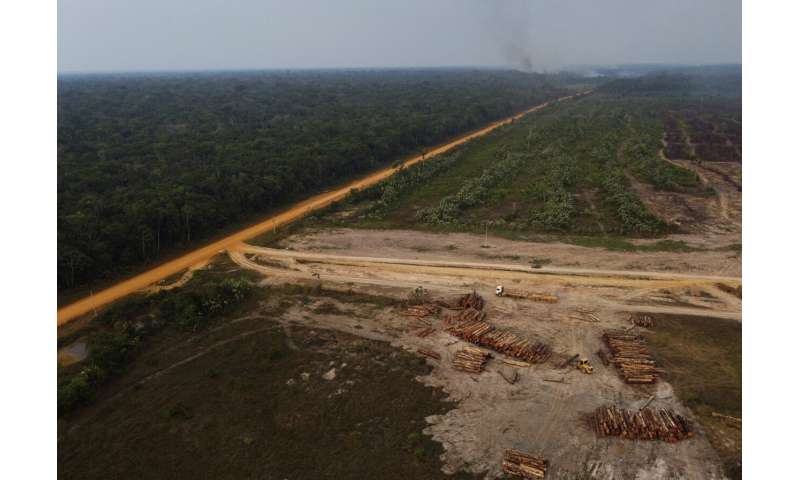 Brazil's new president works to reverse Amazon deforestation