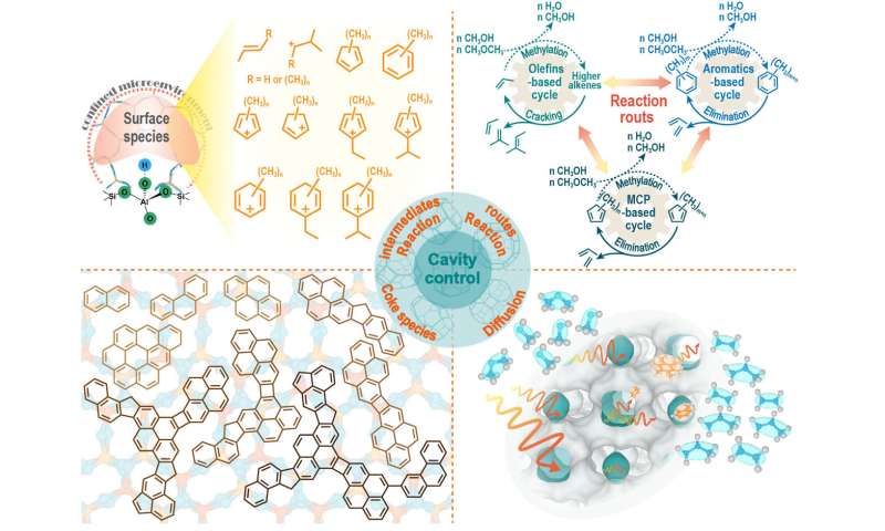 Cavity-controlled principle in zeolite-catalyzed Methanol-to-Olefins reaction