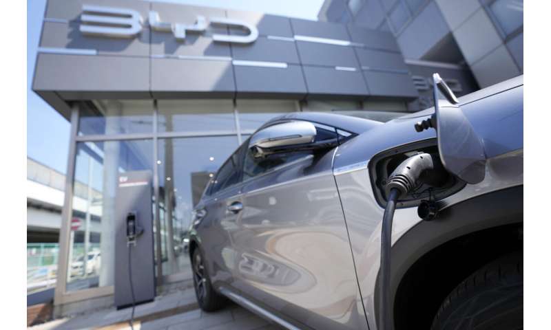 Chinese electric vehicle brands expand to global markets