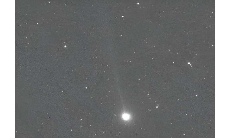 Comet Encke and the Halloween Fireballs of 2023
