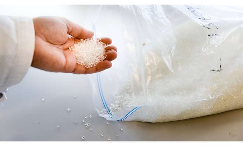 Converting sugar into climate-friendly plastic