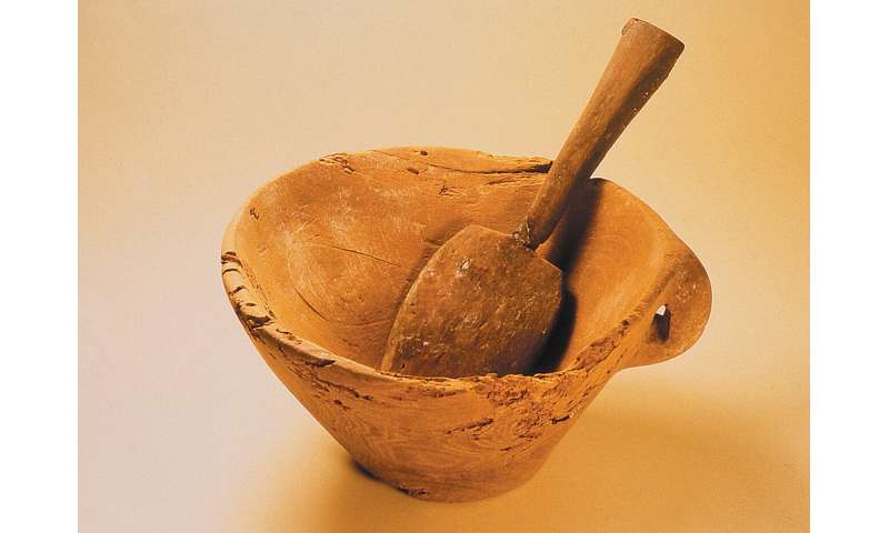 Evidence of drug use during Bronze Age ceremonies