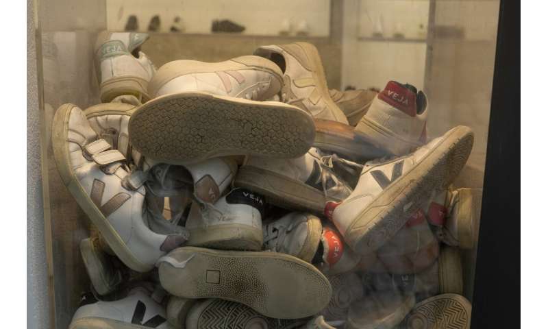 Fashion sneakers propel sustainable rubber in Brazil Amazon
