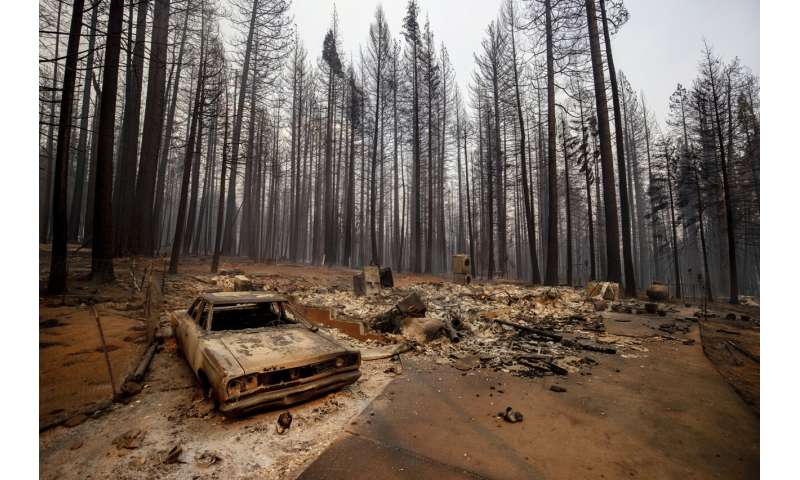 Fire, other ravages jeopardize California’s prized forests