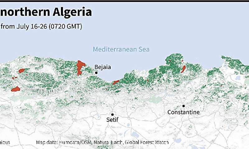 Fires in northern Algeria