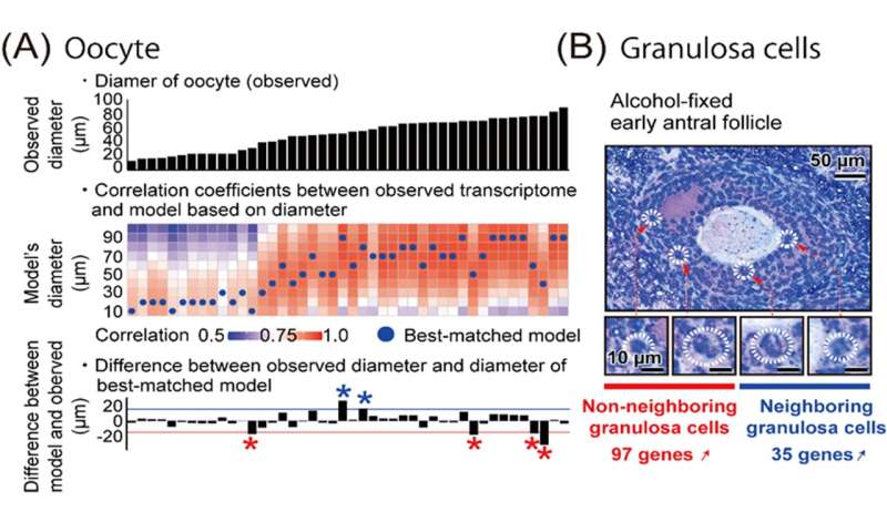 High-quality single-cell transcriptomics from tissue sections reveals histology-associated heterogeneity of mouse follicles