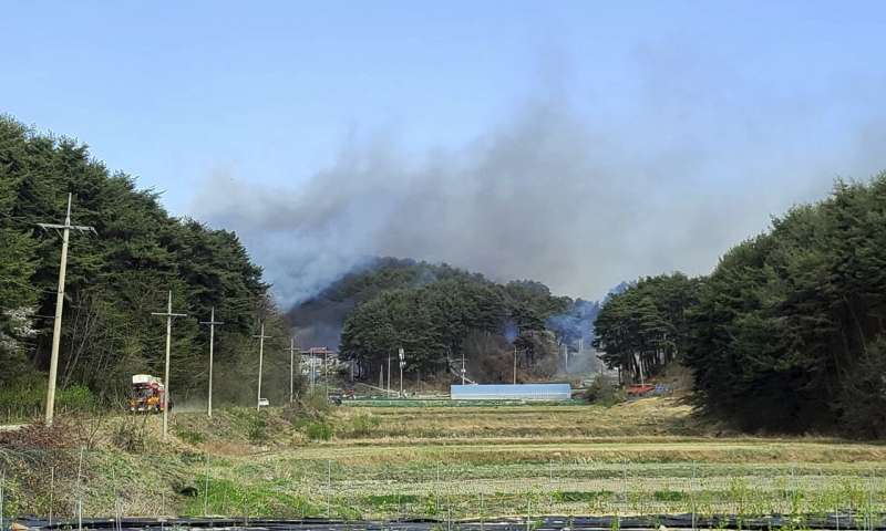 Hundreds flee from wildfire in South Korean seaside city