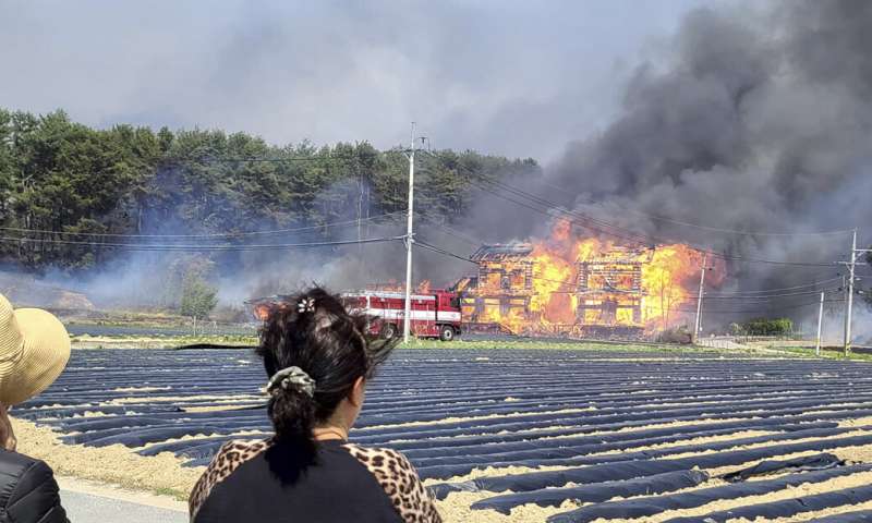 Сотни людей спасаются бегством от лесного пожара в южнокорейском приморском городе