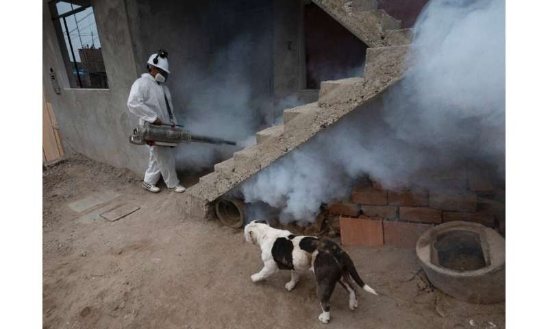 Em fevereiro, o Peru declarou uma 'emergência de saúde' em vários departamentos por causa da dengue