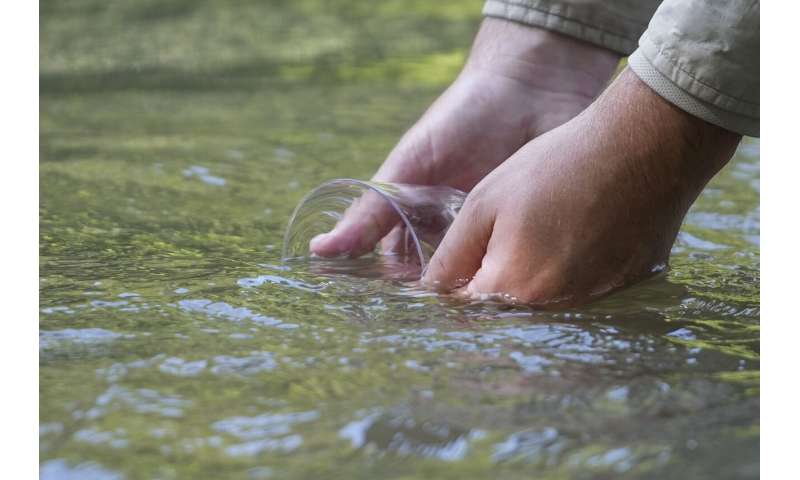 In Mississippi, a tiny fish is reintroduced to the river where it disappeared 50 years ago