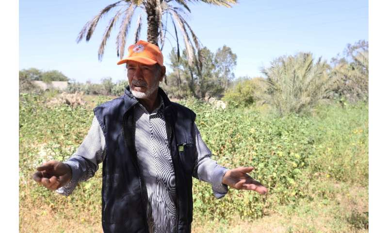 Man has 'destroyed forests' said Khalifa Ramadan, who has been working in agriculture and gardening for 40 years