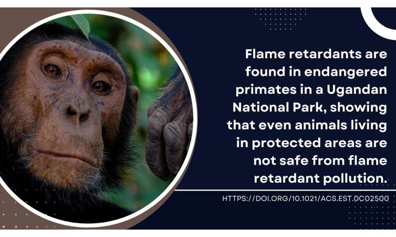 Map: Wildlife polluted by flame retardants on massive scale