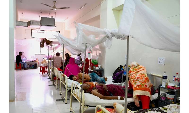 Men receive treatment for dengue fever at the Shaheed Suhrawardy Medical College Hospital in Dhaka