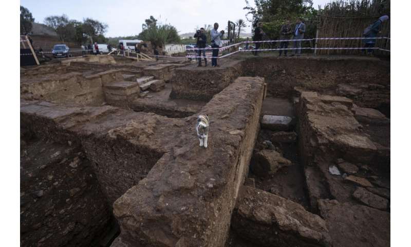 Des archéologues marocains découvrent de nouvelles ruines à Chellah, un ancien port touristique près de Rabat