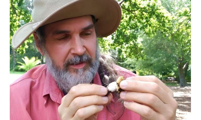 Mushroom man with a mission: Tom May awarded Australasian Systemic Botany Society Medal 