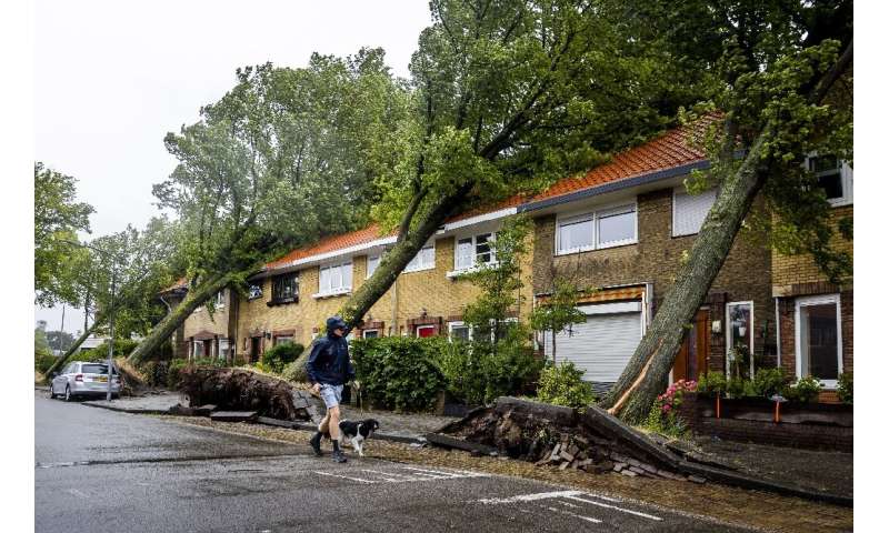One woman was killed when a tree fell on her car as Storm Poly hit the Netherlands