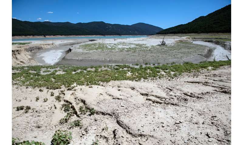 Ongoing droughts and an over-exploitation of land have stoked fears in Spain over the creeping spread of 'sterile soil' which co