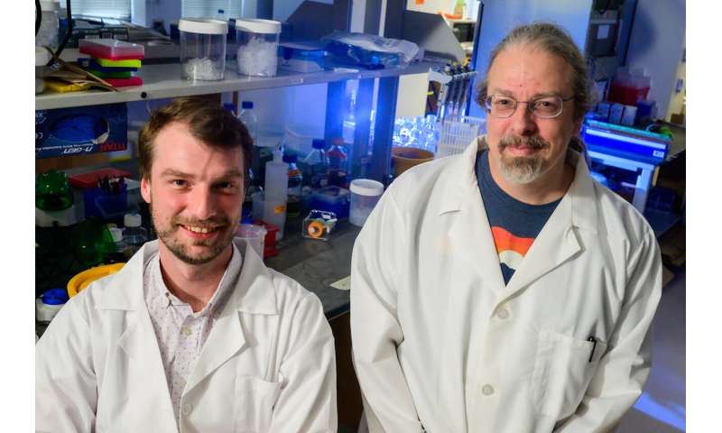 Rice labs seek RNA programming for 'smart' antibiotics