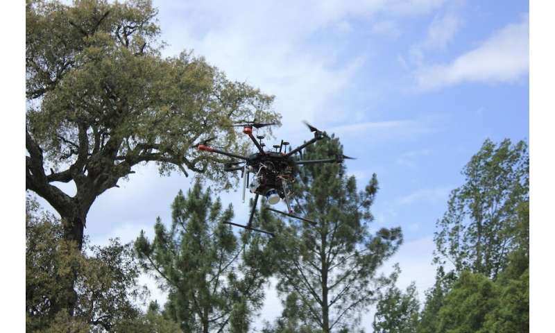 Safeforest project introduces an innovative robotic system to revolutionize forest wildfire prevention