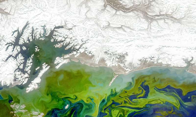 Satellite images show coastal algae blooms growing larger over past two decades