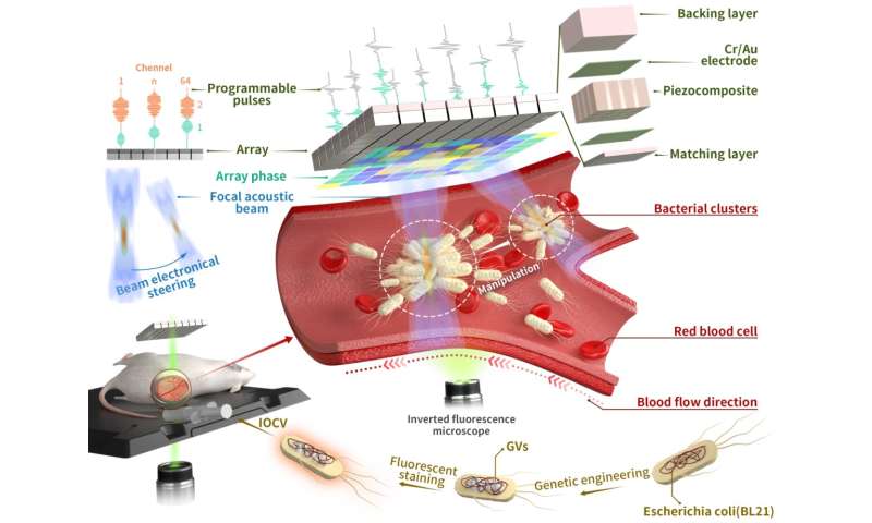 Scientists develop new technology for targeted cancer therapy