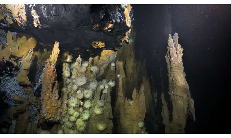 Scientists discover three new hydrothermal vent fields on Mid-Atlantic Ridge