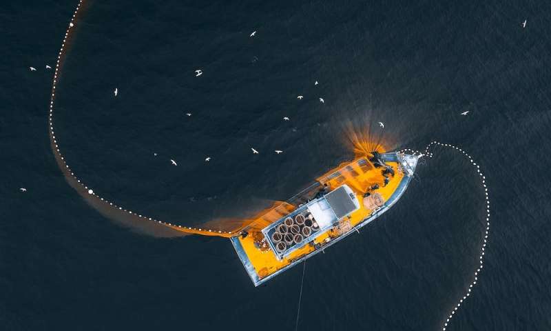 Scientists unveil plans for underwater AI bot that detects illegal fishing