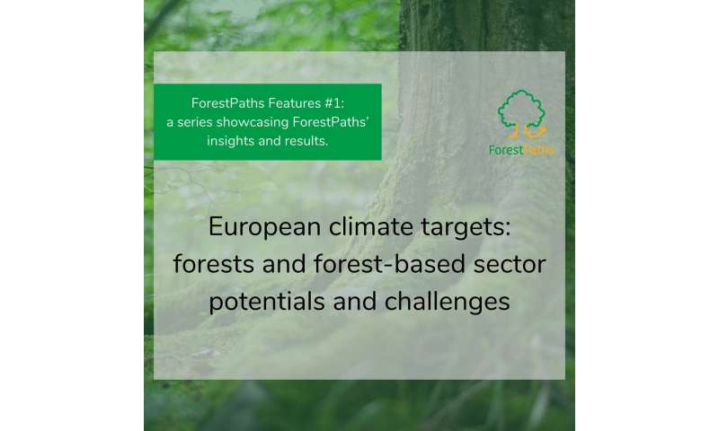 Shaping the 2040 EU climate target: ForestPaths issues forest-based mitigation recommendations
