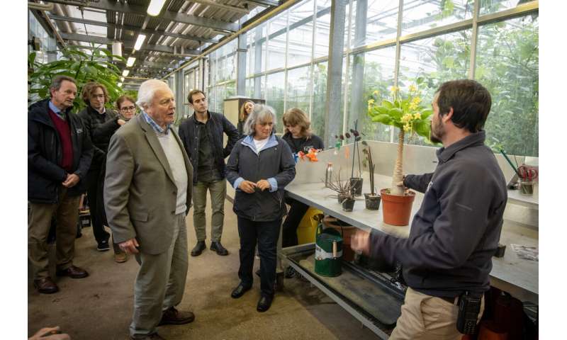Sir David Attenborough finds safe home for precious Easter Island seeds at Kew Gardens
