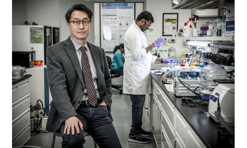 SMU Lyle nanorobotics professor awarded prestigious research grant to make gene therapy safer 