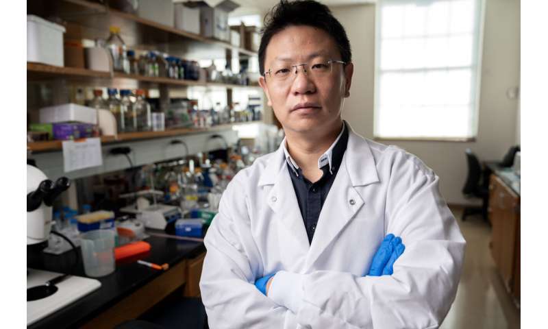 SMU professor wins $1.8M NIH award to study how our bodies may work to repair damaged components in cells