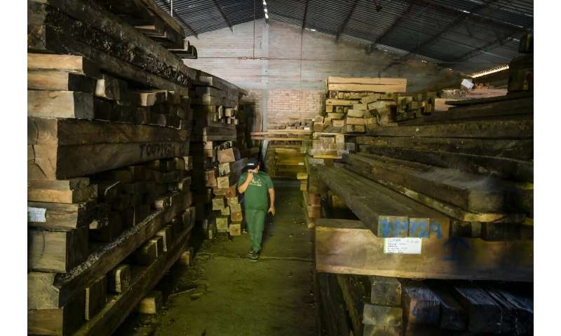 Some 1,000 cubic meters of illegally felled timber is seized in Colombia's Santander department in anti-trafficking operations every year