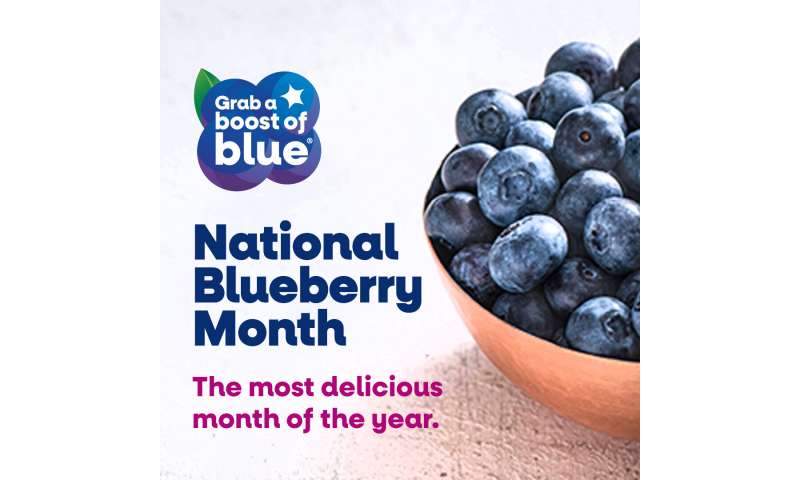 Summer Belongs to Blueberries: Celebrate National Blueberry Month with Pennington Biomedical Dieticians