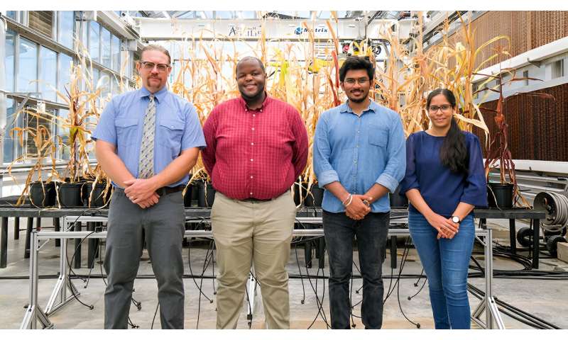 Texas A&M researchers integrating new AI tools for plant analysis