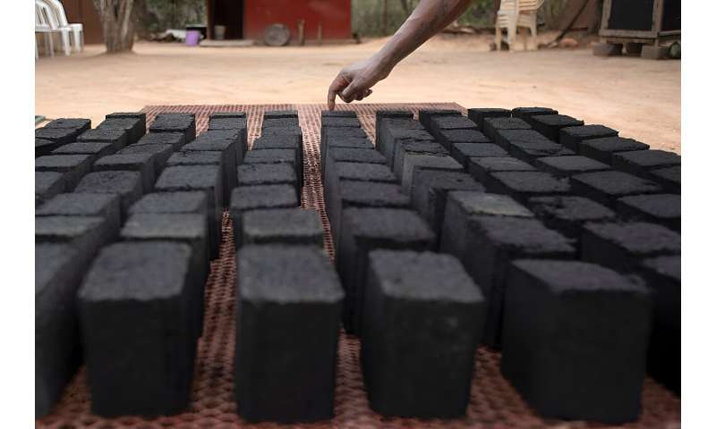 The project supports a number of alternative industries involving surrounding communities, including sustainable charcoal produc