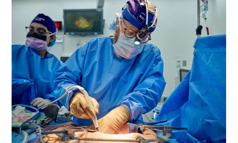 Two-month study of pig kidney xenotransplantation gives new hope to the future of the organ supply