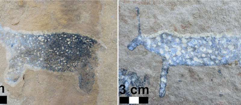 Unicorns in southern Africa: the fascinating story behind one-horned creatures in rock art