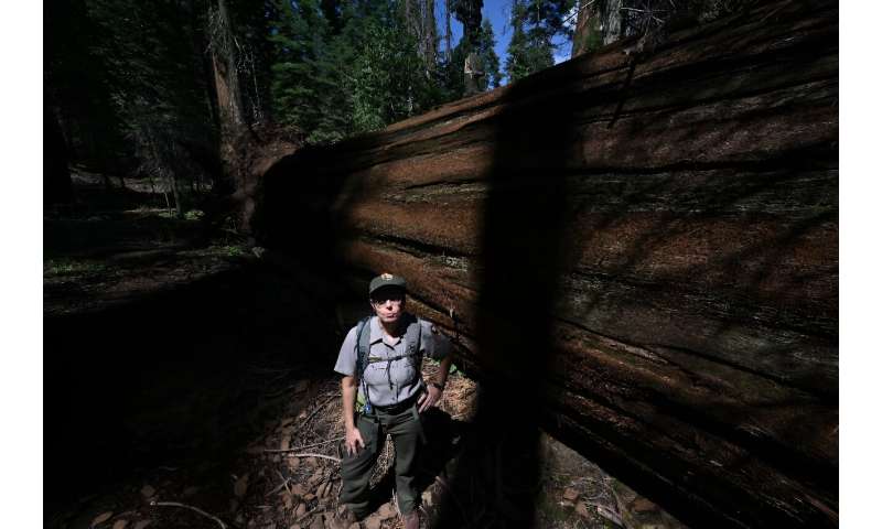 US National Park Service scientist Christy Brigham says human activity has already altered the wilderness -- and some giant sequ