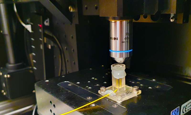 1,000 times smaller than a grain of sand—glass sensors 3D-printed on optical fiber