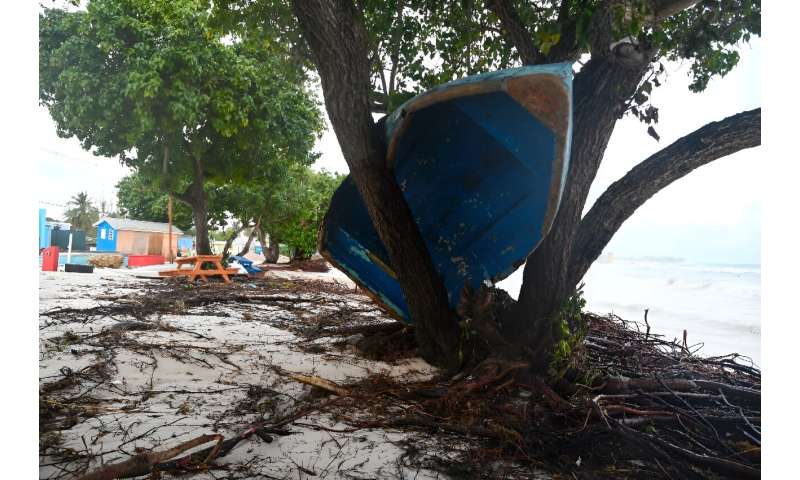 A boat ended up in a tree after the passage of Hurricane Beryl in Oistins gardens, Christ Church, Barbados on July 1, 2024
