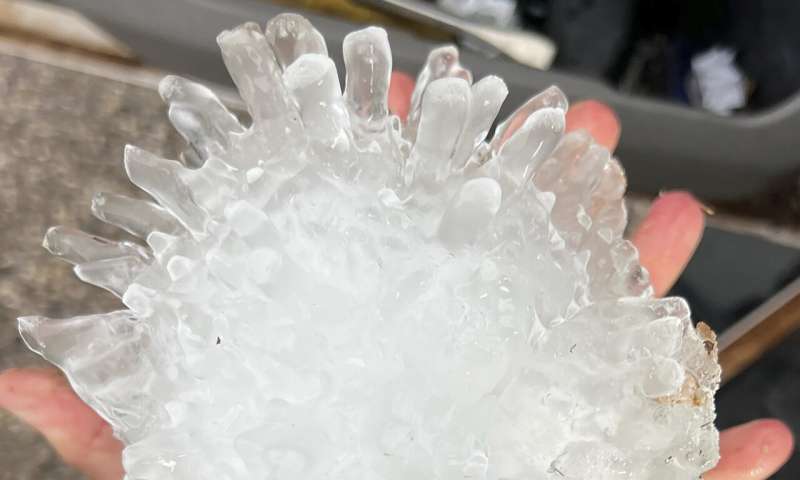 A hail stone the size of a pineapple was found in Texas. It likely sets a state record
