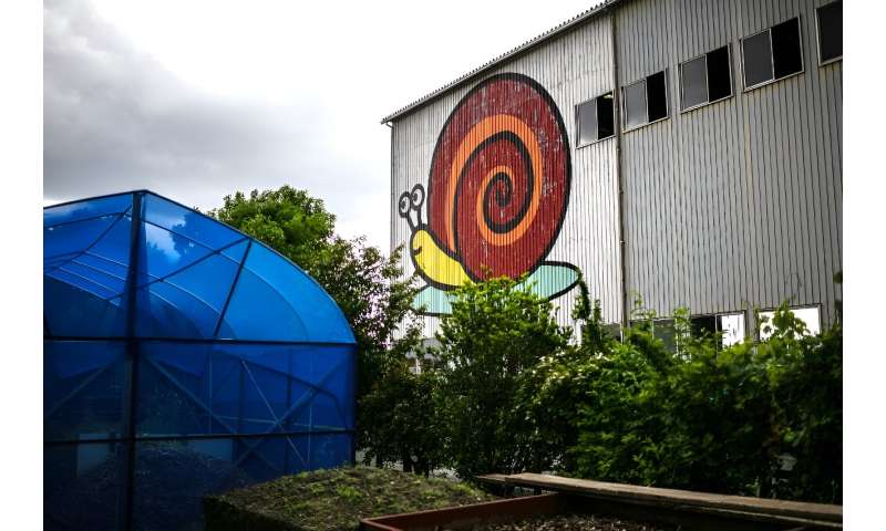 A mural of a Burgundy snail gazes down at the Mie Escargots Development Laboratory in Matsusaka